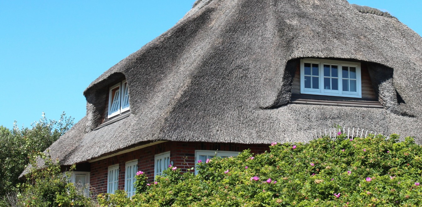 A home with a thatched roof